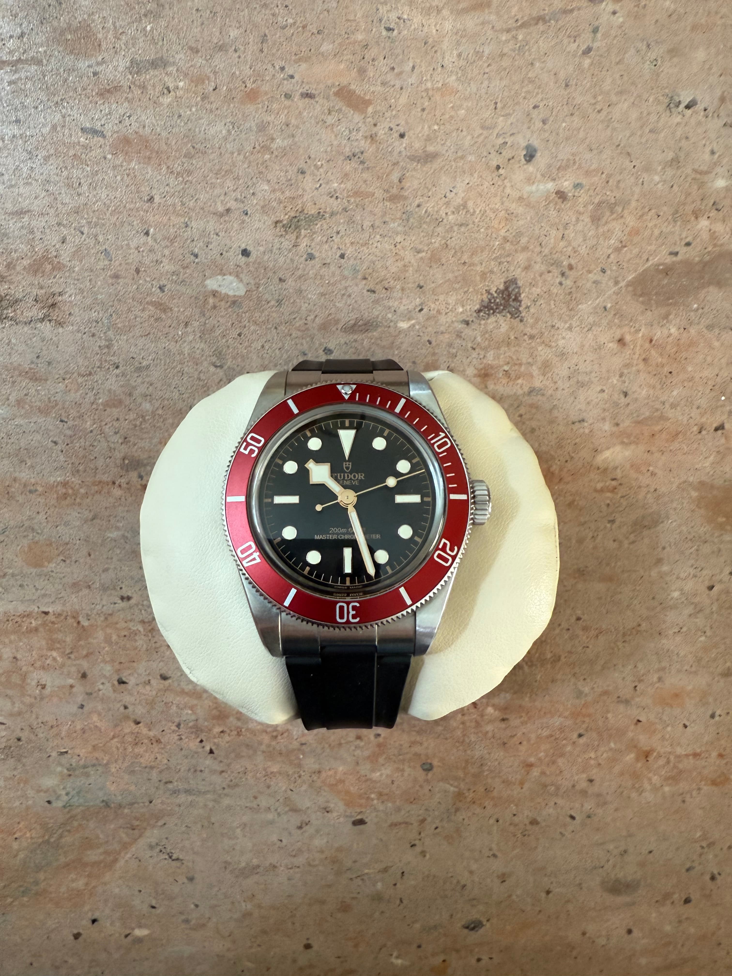 Tudor Black Bay